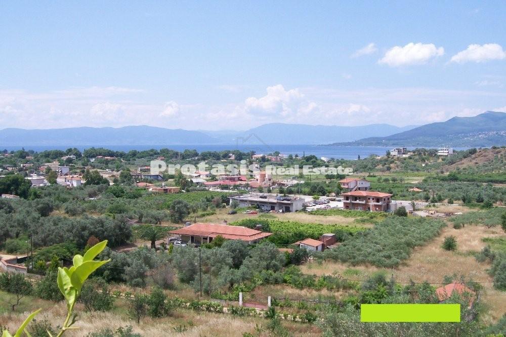 Αγροτεμάχια 14.188 τ.μ. προς πώληση, Λουτρά Αιδηψού