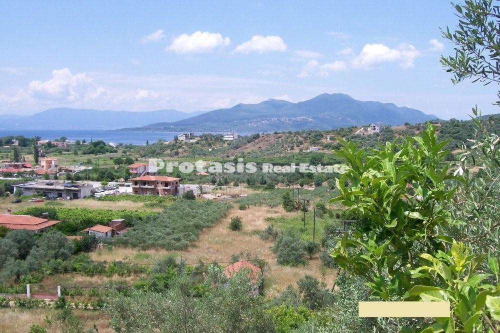 Αγροτεμάχια 14.188 τ.μ. προς πώληση, Λουτρά Αιδηψού