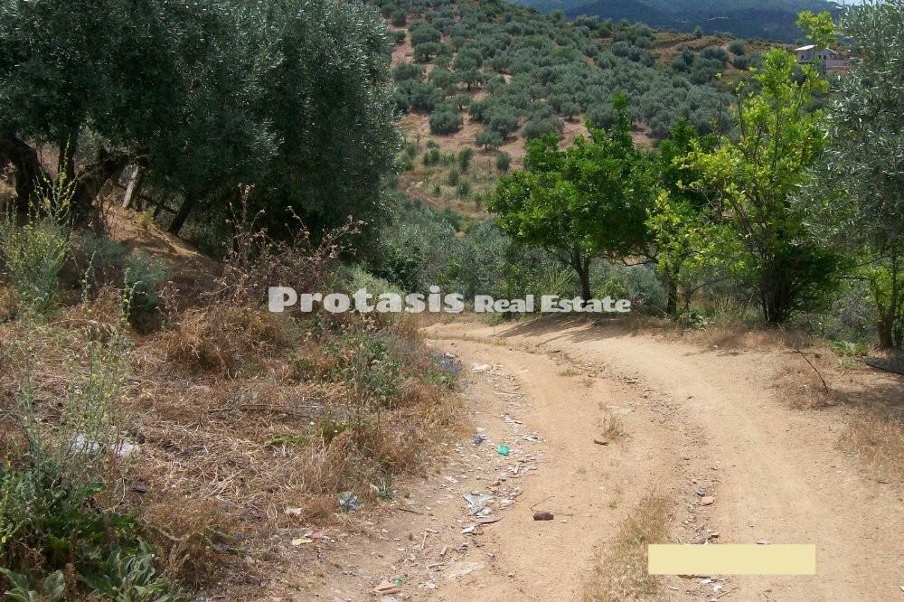 Αγροτεμάχια 14.188 τ.μ. προς πώληση, Λουτρά Αιδηψού