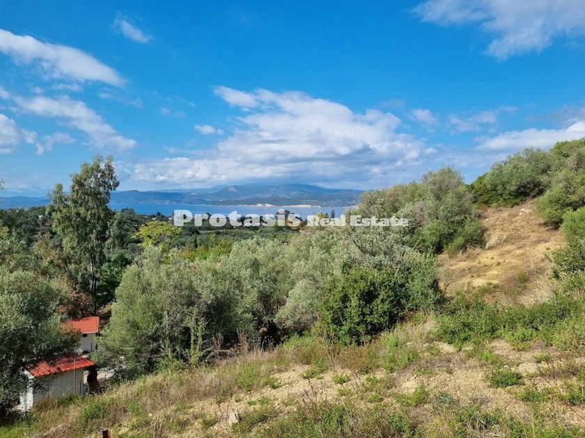 Parcel 4.000sqm for sale-Aidipsos » Agiokampos