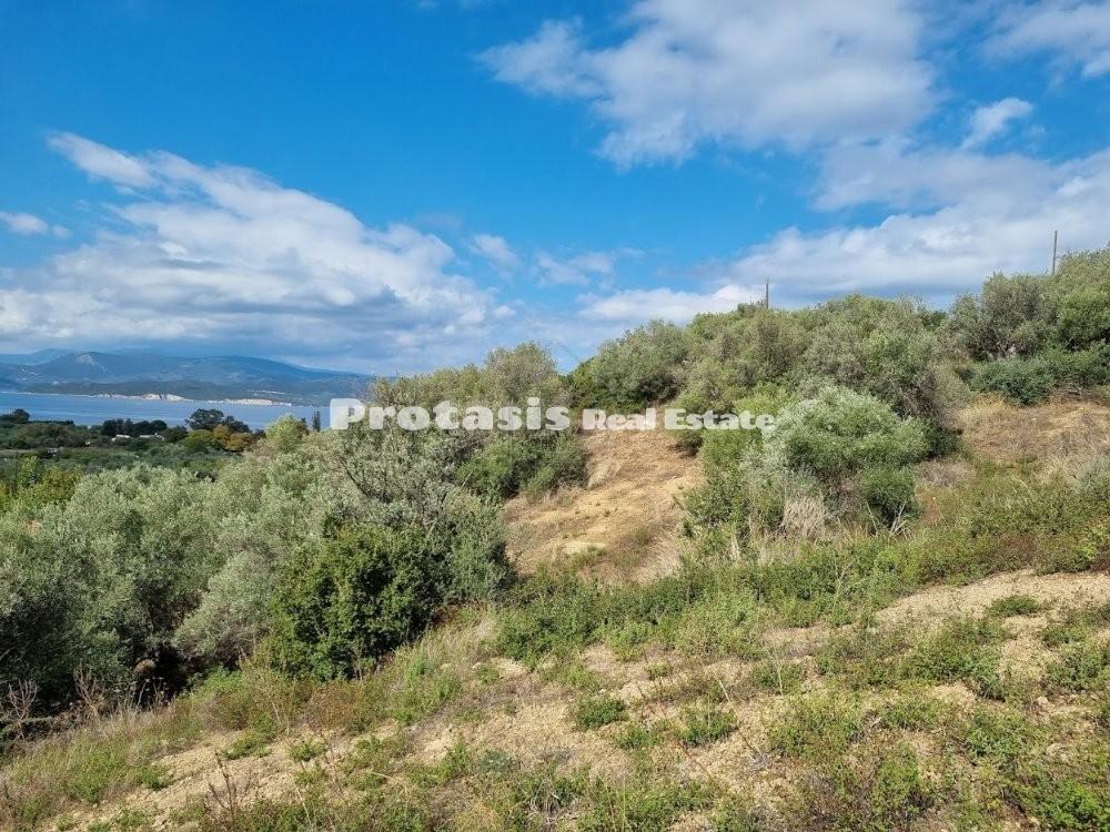 Αγροτεμάχια 4.000 τ.μ. προς πώληση, Αγιόκαμπος Αιδηψού