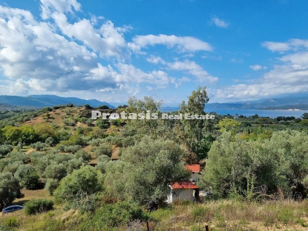 Αγροτεμάχια 4.000 τ.μ. προς πώληση, Αγιόκαμπος Αιδηψού