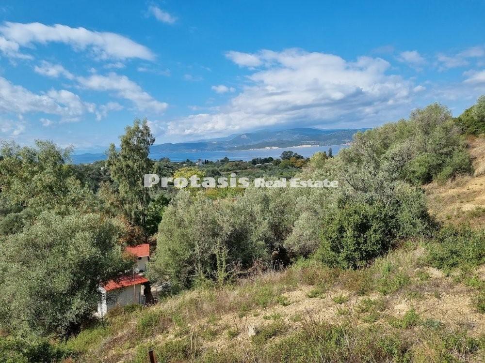 Αγροτεμάχια 4.000 τ.μ. προς πώληση, Αγιόκαμπος Αιδηψού