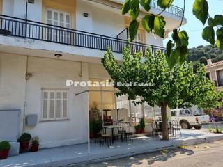 Συγκρότημα διαμερισμάτων 320 τ.μ. πρός πώληση, Εύβοια, Αιδηψός-thumb-45