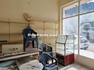 Συγκρότημα διαμερισμάτων 320 τ.μ. πρός πώληση, Εύβοια, Αιδηψός-thumb-33