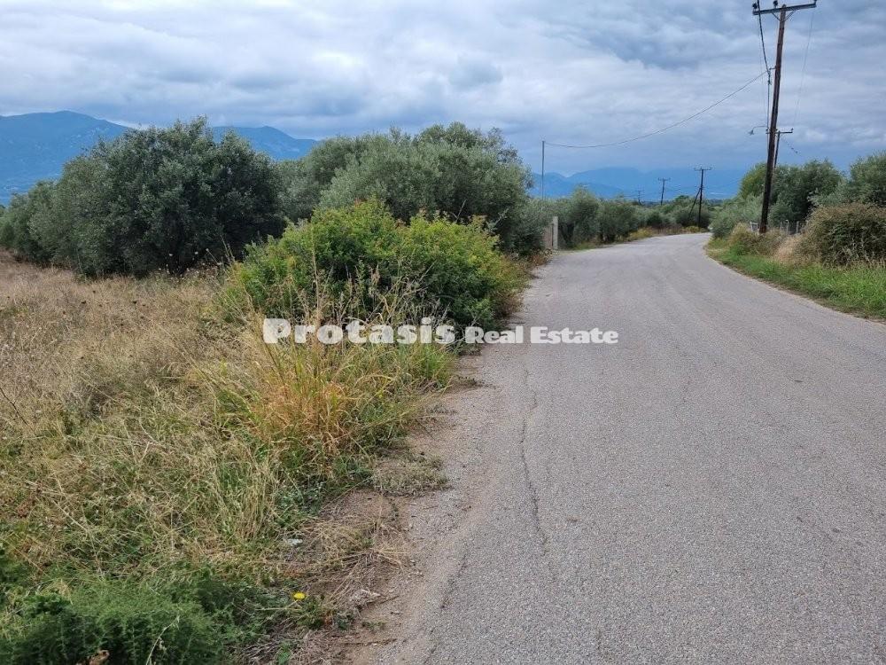 Αγροτεμάχια 1.131 τ.μ. προς πώληση, Άγιος Γεώργιος Λιχάδας
