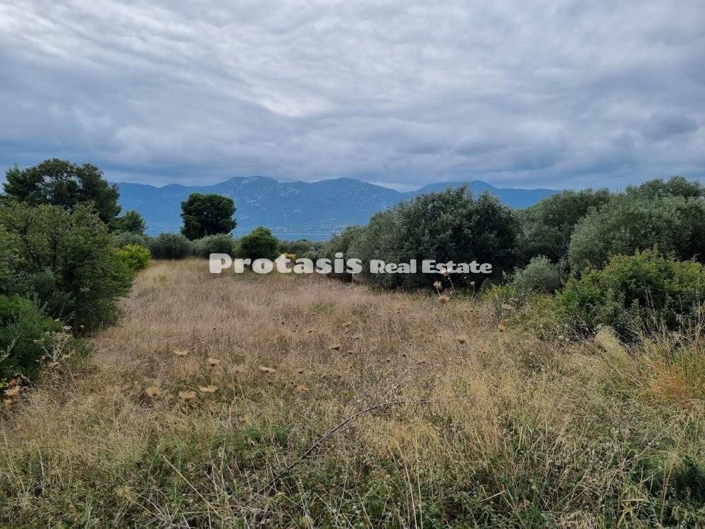Αγροτεμάχια 1.131 τ.μ. προς πώληση, Άγιος Γεώργιος Λιχάδας