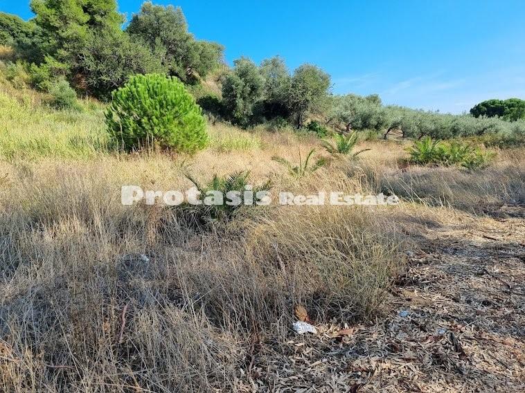 Οικόπεδο 600 τ.μ. προς πώληση, Κάβος Λιχάδας