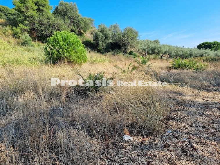 Land plot 600sqm for sale-Lichada » Kavos
