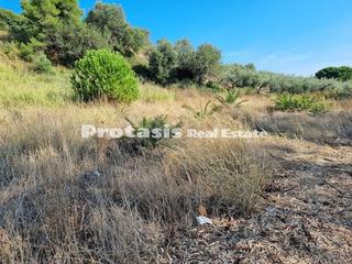 Οικόπεδο 600 τ.μ. για πώληση