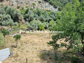 Διαμέρισμα 365,32 τ.μ. για πώληση, Εύβοια, Αιδηψός-thumb-5