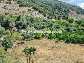 Διαμέρισμα 365,32 τ.μ. για πώληση, Εύβοια, Αιδηψός-thumb-7