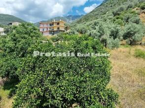 Διαμέρισμα 365,32 τ.μ. για πώληση, Εύβοια, Αιδηψός-thumb-9