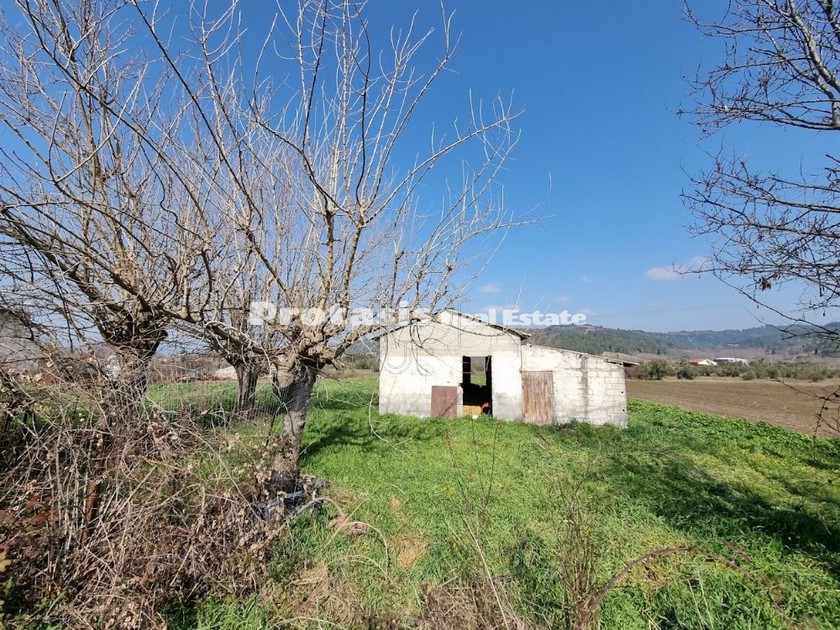 Αγροτεμάχια 20.000τ.μ. για πώληση-Ιστιαία
