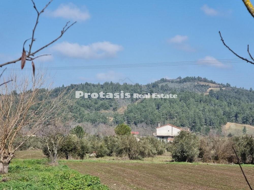 Αγροτεμάχια 20.000 τ.μ. προς πώληση, Ιστιαία