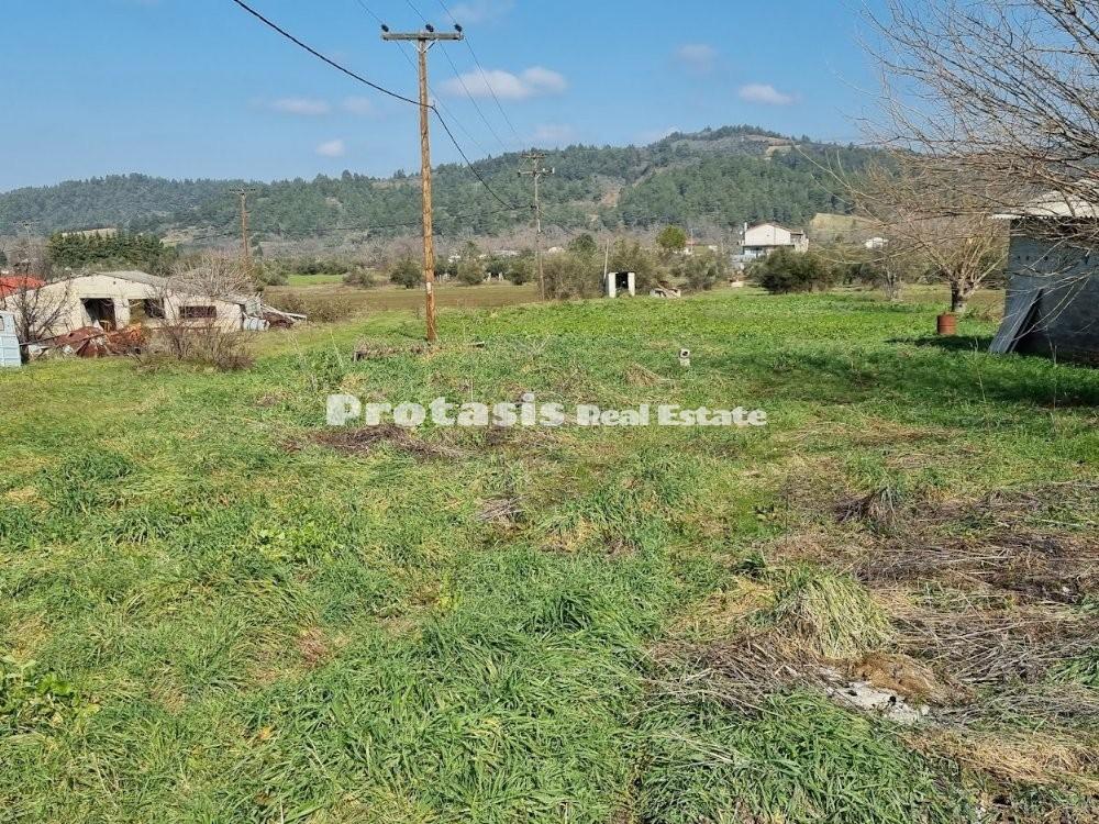 Αγροτεμάχια 20.000 τ.μ. προς πώληση, Ιστιαία