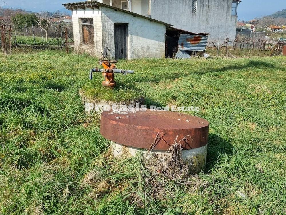 Αγροτεμάχια 20.000 τ.μ. προς πώληση, Ιστιαία