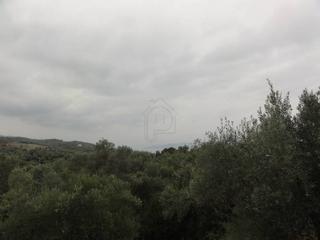 Αγροτεμάχια 5.786 τ.μ. για πώληση, Εύβοια, Αιδηψός-thumb-8