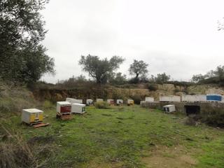 Αγροτεμάχια 5.786 τ.μ. για πώληση, Εύβοια, Αιδηψός-thumb-10