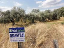 Οικόπεδο 570τ.μ. για πώληση-Αιδηψός