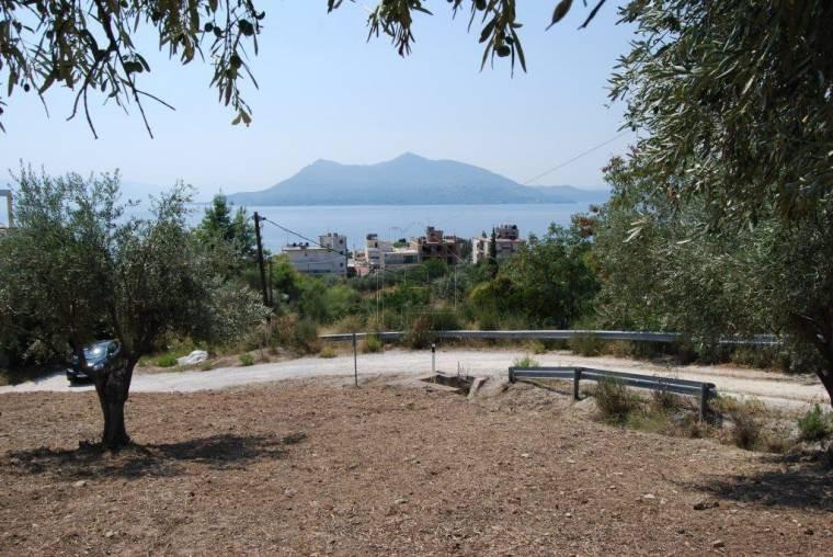 Αγροτεμάχια 1.200 τ.μ. προς πώληση, Λουτρά Αιδηψού