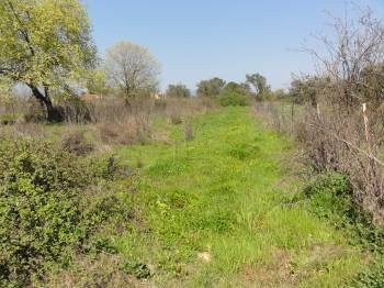 Land plot 903sqm for sale-Oreoi » Neos Pirgos