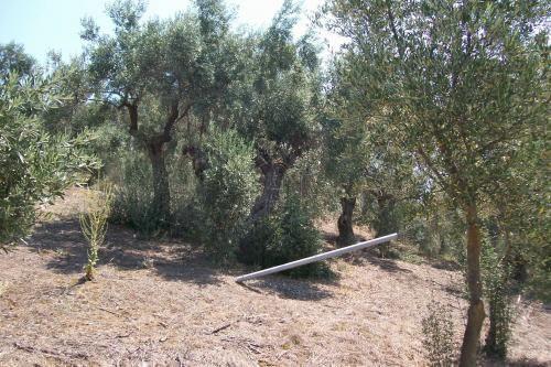 Αγροτεμάχια 2.085 τ.μ. προς πώληση, Παραλία Αγίου Νικολάου