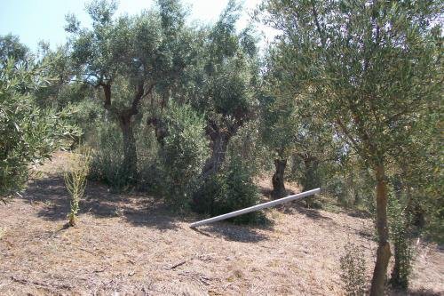 Parcel 2.085sqm for sale-Aidipsos » Paralia Agiou Nikolaou