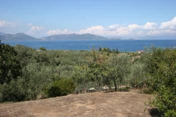 Αγροτεμάχια 4.300 τ.μ. προς πώληση, Νέος Πύργος Ωρεών