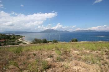 Αγροτεμάχια 4.300 τ.μ. προς πώληση, Νέος Πύργος Ωρεών