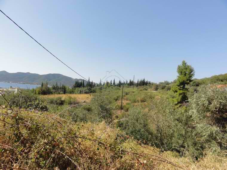 Parcel 4.000sqm for sale-Aidipsos » Loutra Aidipsou