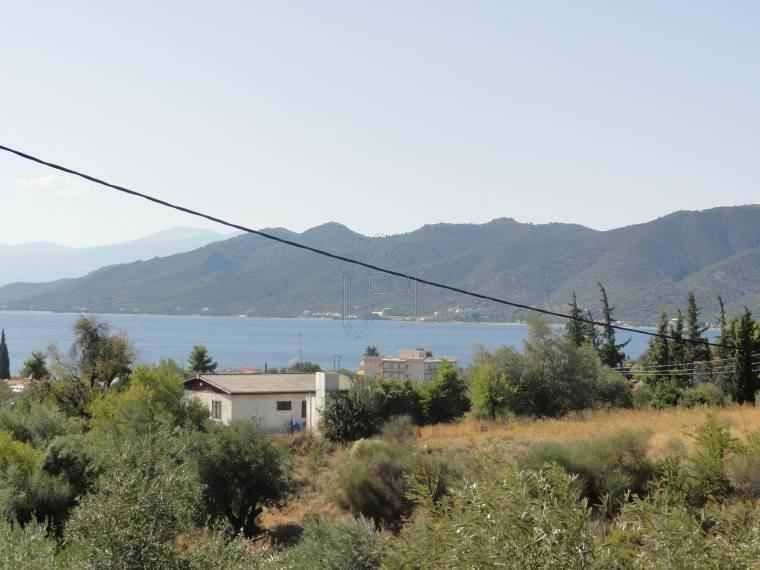 Αγροτεμάχια 4.000 τ.μ. προς πώληση, Λουτρά Αιδηψού