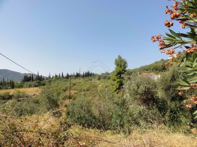 Αγροτεμάχια 4.000 τ.μ. προς πώληση, Λουτρά Αιδηψού