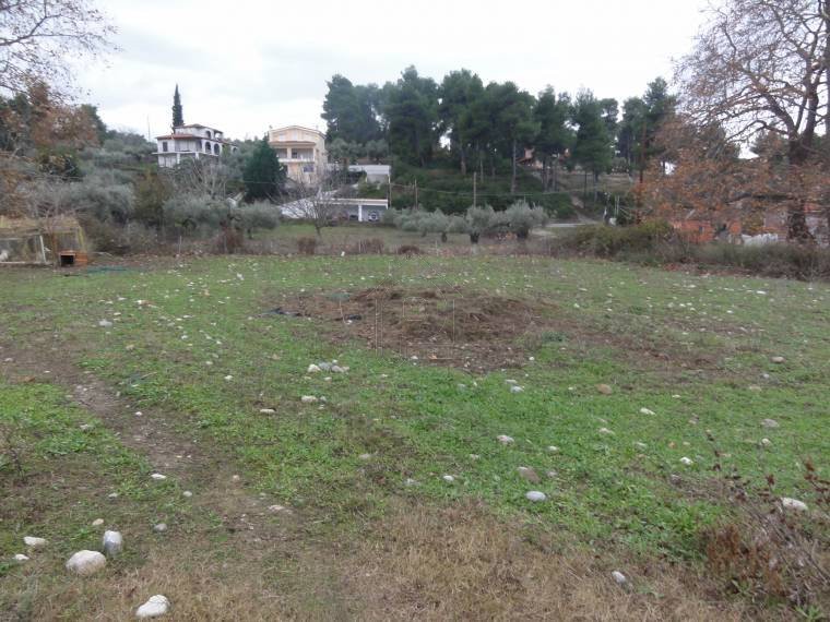 Οικόπεδο 1.000τ.μ. για πώληση-Ιστιαία