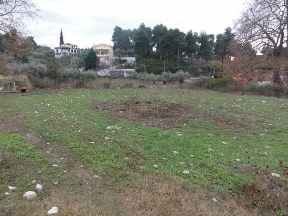 Οικόπεδο 1.000 τ.μ. για πώληση, Εύβοια, Ιστιαία