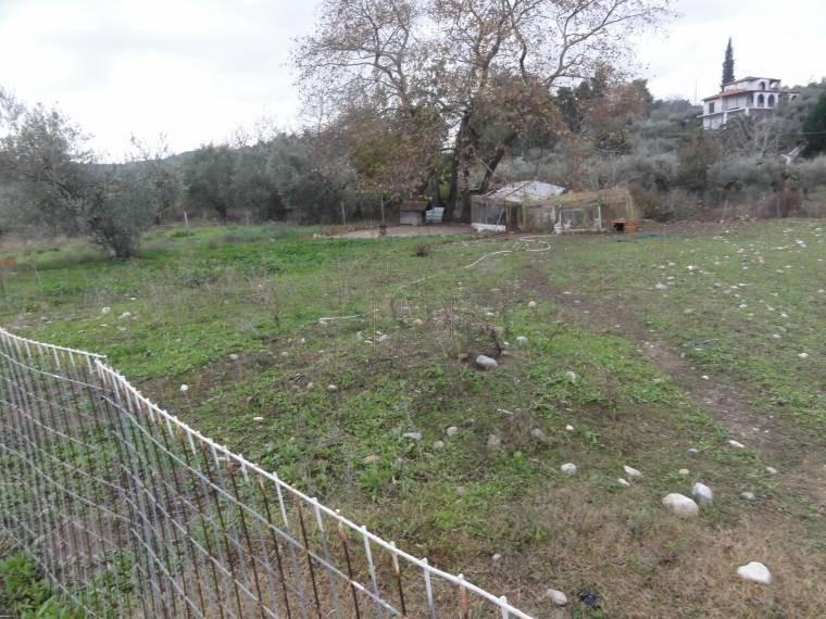 Οικόπεδο 1.000 τ.μ. προς πώληση, Ιστιαία
