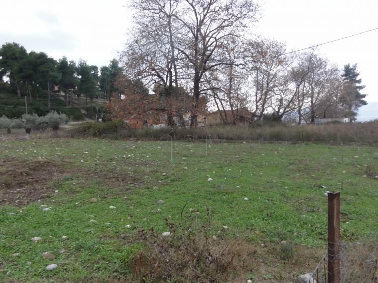 Οικόπεδο 1.000 τ.μ. προς πώληση, Ιστιαία