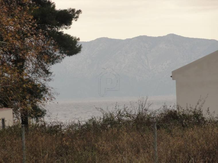 Οικόπεδο 1.000 τ.μ. προς πώληση, Ιστιαία