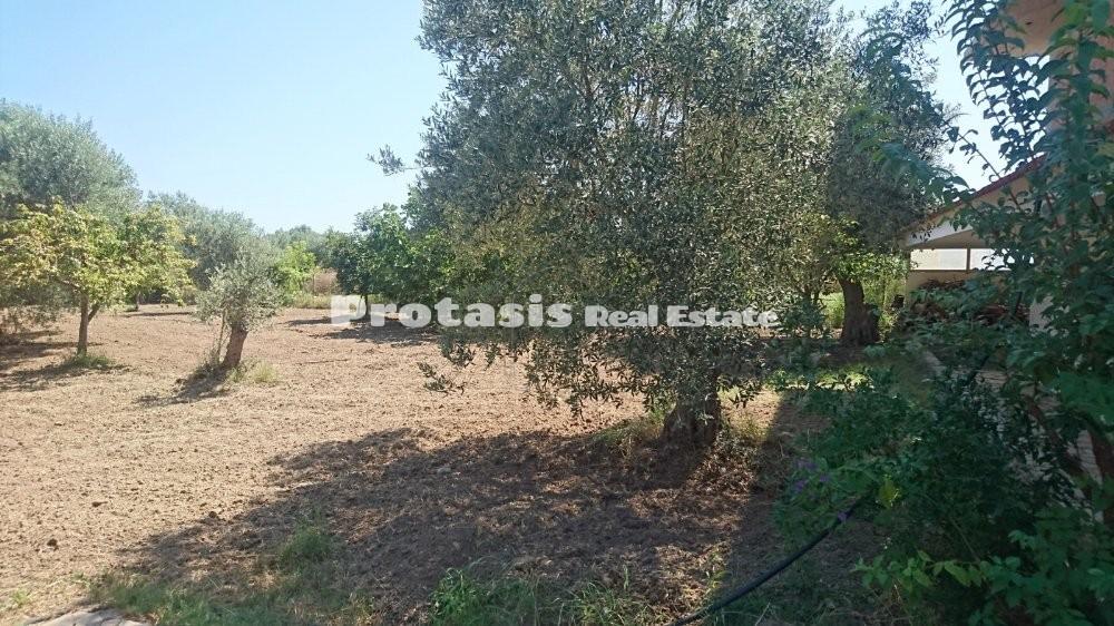 Μονοκατοικία 190 τ.μ. προς πώληση, Ωρεοί