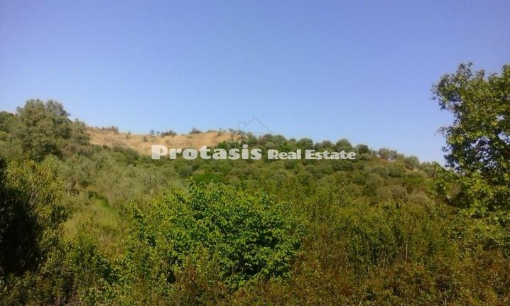 Αγροτεμάχια 4.070 τ.μ. για πώληση, Εύβοια, Αιδηψός