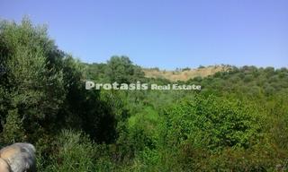 Αγροτεμάχια 4.070 τ.μ. για πώληση, Εύβοια, Αιδηψός-thumb-3