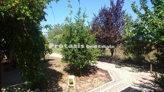 Μονοκατοικία 32 τ.μ. για πώληση, Εύβοια, Ωρεοί-thumb-10