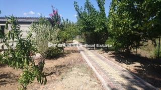 Μονοκατοικία 32 τ.μ. για πώληση, Εύβοια, Ωρεοί-thumb-15