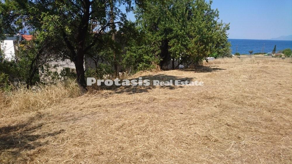 Οικόπεδο 1.550 τ.μ. προς πώληση, Χρόνια