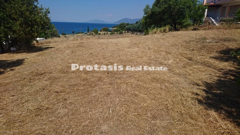 Οικόπεδο 1.550 τ.μ. προς πώληση, Χρόνια
