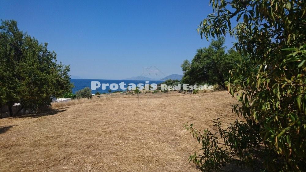 Οικόπεδο 1.550 τ.μ. προς πώληση, Χρόνια