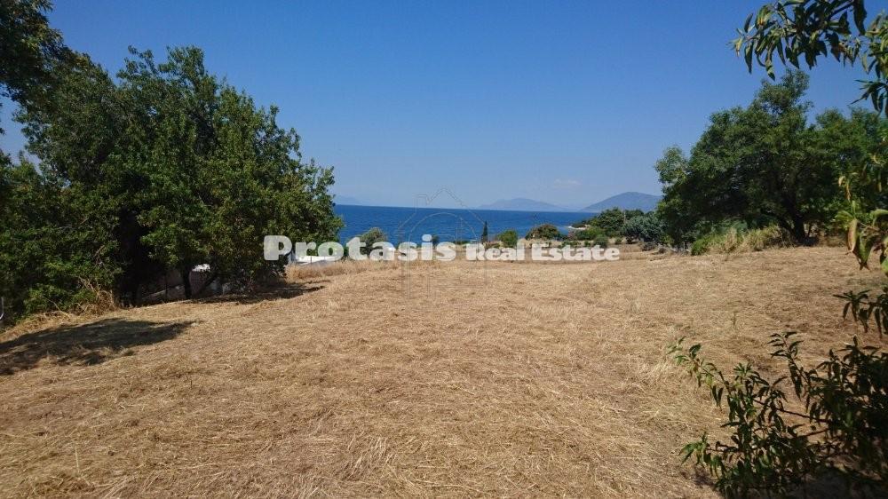 Οικόπεδο 1.550 τ.μ. προς πώληση, Χρόνια