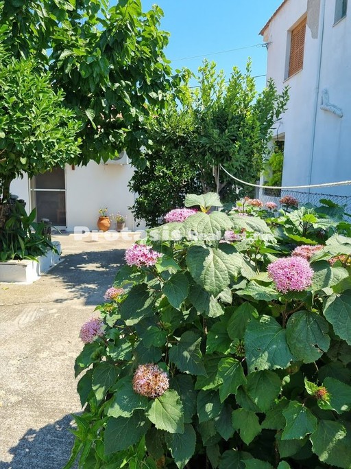 Detached home 54sqm for sale-Aidipsos » Agios