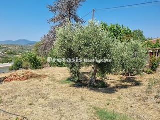 Μονοκατοικία 54 τ.μ. για πώληση, Εύβοια, Αιδηψός-thumb-10