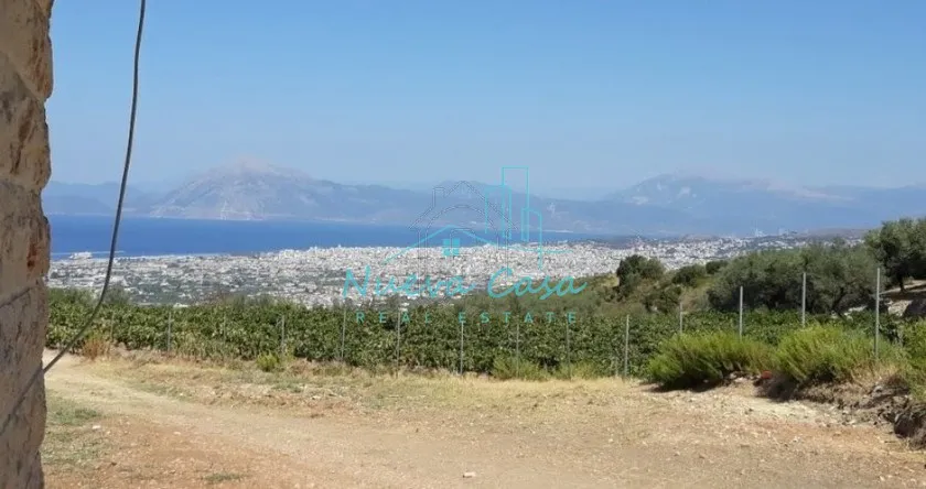 Land plot 4.600 sqm for sale, Achaia, Messatida